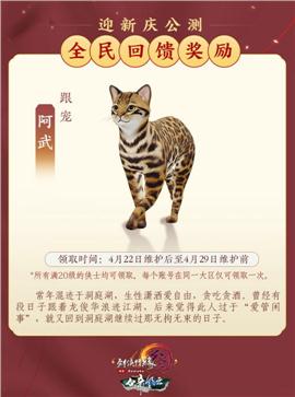 三修天龙八部私服
